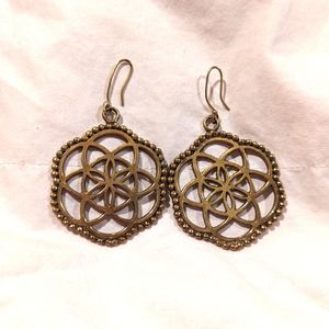 Seed of Life Earnings.